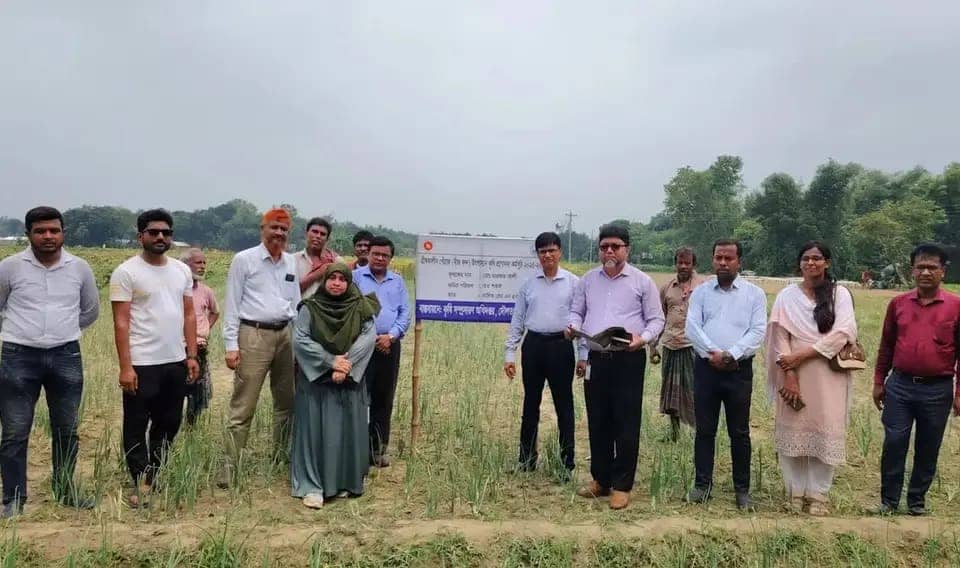 দেশে পেঁয়াজের চাহিদা মেটাতে গ্রীষ্মকালীন চাষ বাড়ানোর তাগিদ