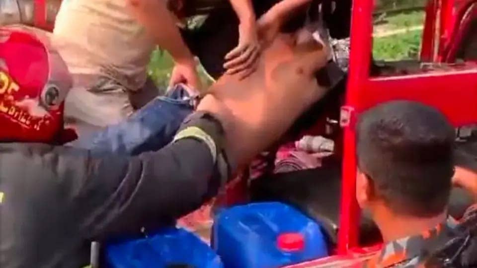 শ্রীমঙ্গলে চলন্ত ট্রেনের ছাদ থেকে পড়ে গুরুতর আহত ২ যুবক